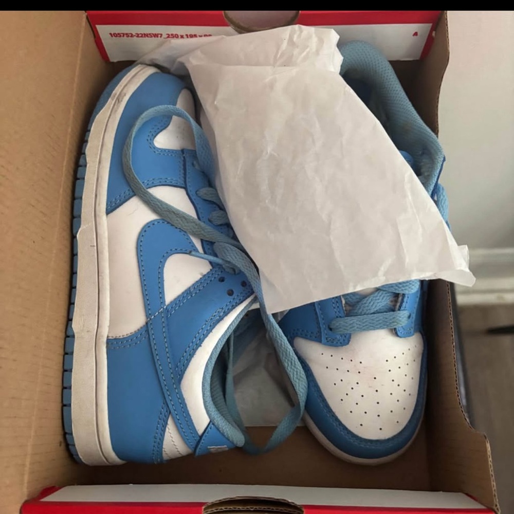 Dunks 2.5y